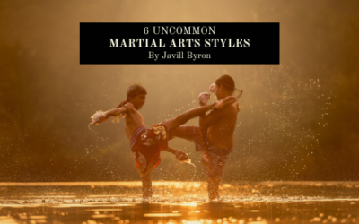 6 Uncommon Martial Arts Styles